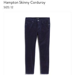 Edyson Hampton Skinny Corduroy Pants - Size 12